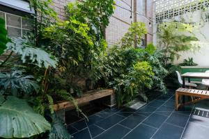 Bright 2BR condo with Stunning Patio in Escandon