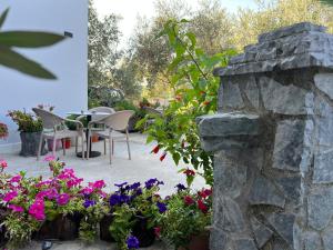 Aloju Rooms