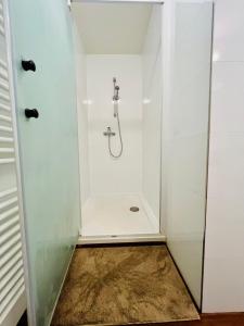 Boutique Apartment with Terrace Prague 7