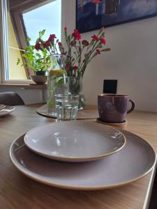 Apartament Karkonoski Pejzaż