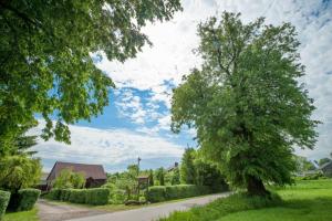 Agroturystyka Pod Lipą