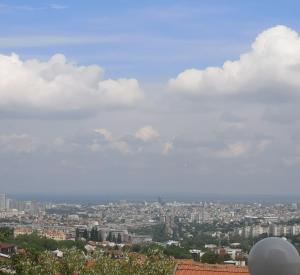 The VIEW