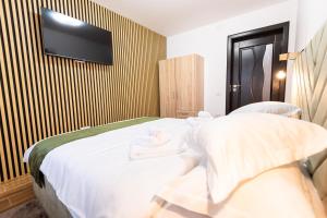 DSD Central Apartment Gura Humorului