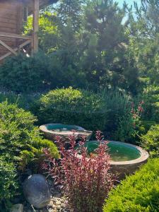 Paradise in Ledinci