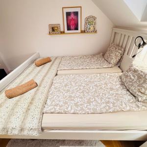 Boho Holistic House - forest, yoga massage