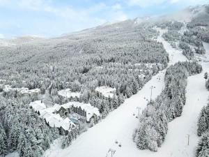 Luxe 2-Bed Ski-in Ski-out, On Hill