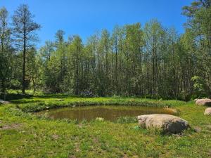 Väänavilla Romantic Getaway