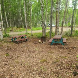 Houston Grass Station Campsite #11