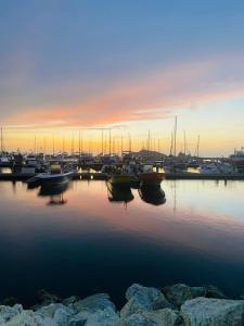 New loft near beach with WiFi in SMR 1015