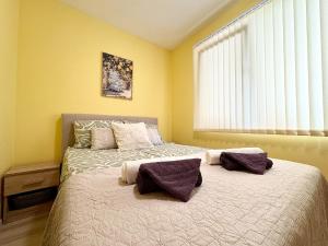 Rodopi Apartment