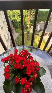 Old Town City Center Apartment