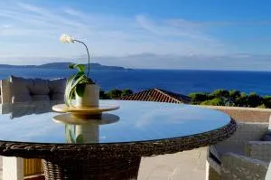 贝尔维尤住宿加早餐旅馆 - 卡尔特汉