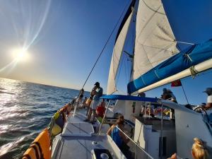 Balade de 3 heures en Catamaran de Luxe djerba