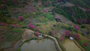 Hmong Village Mù Cang Chải