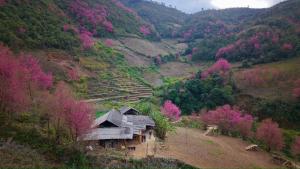 Hmong Village Mù Cang Chải