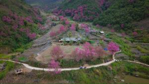 Hmong Village Mù Cang Chải