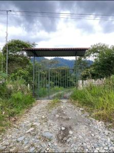 Finca Regenerativa Kupuazu