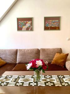 55qm sunny apartment in the house at the river