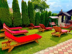 Casa David Comarnic