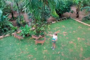 Deer Inn - Yala