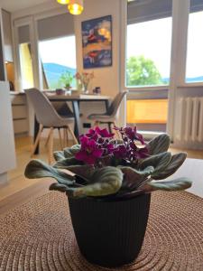 Apartament Karkonoski Pejzaż