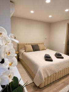 Pure Lotus Studio Apartment Druskininkai