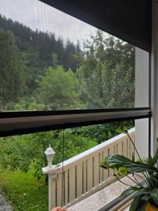 Apartment Jurček with jacuzzi & sauna