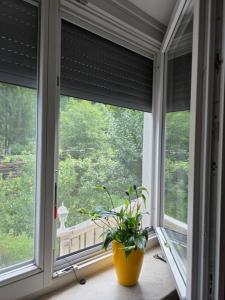 Apartment Jurček with jacuzzi & sauna