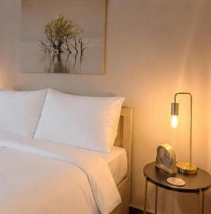 Elegant City Center Apartment