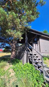 PINE house near beach