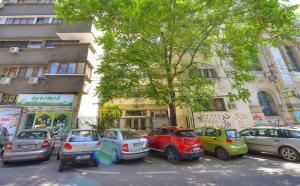 Cismigiu Apartment - Cismigiu Gardens