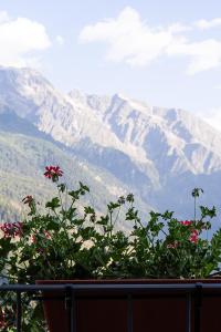 Adamello skyline