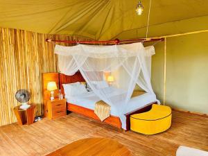 Golden Safari Camps