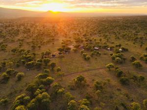 Golden Safari Camps