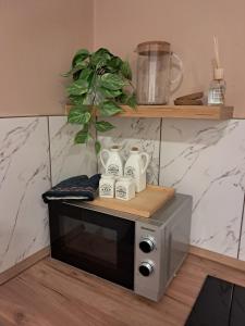 Studio apartman Karli