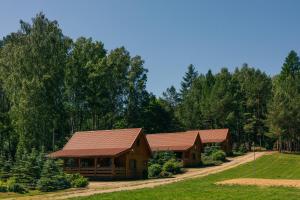 Lisie Bagno - Domki w Lesie Mazury