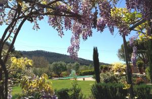 B&B / Chambres d'hotes Bastide de Fontvieille : photos des chambres