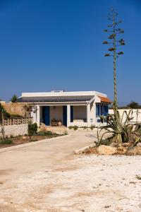 Maresia Beachfront Villa