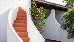 Charming house with sea view in Valledoria