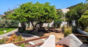 Charming house with sea view in Valledoria