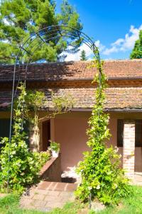 Comfortable Apartment in Fabriano, 35 m² with Shared Pool