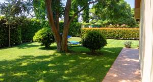 Charming studio in Pescia Romana - 28 m² Terrace