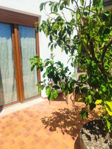 B&B La Rotonda