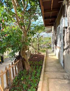 BIKA Farmstay and Camping