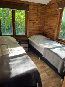 Domki pod bukami