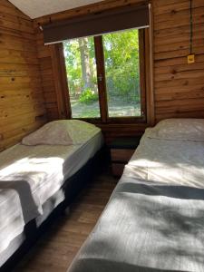 Domki pod bukami