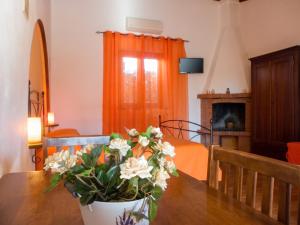 Studio with Terrace in Pescia Romana - 28 m² + Parking Included