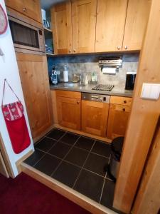 Appartement charmant avec vue sur les montagnes à Avoriaz, 33 m².