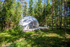 Bubble House glamping tent Odulemma