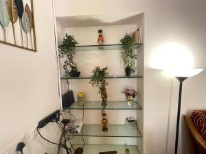 Nehas Homestay